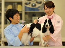 国際動物専門学校