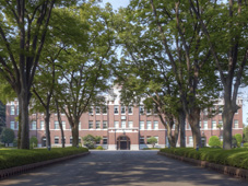 成蹊大学