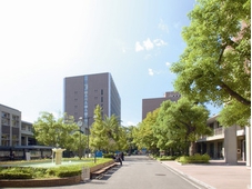 松山大学