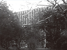 近大姫路大学