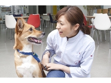 大阪ペピイ動物看護専門学校