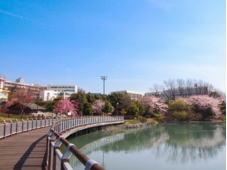 至学館大学