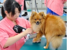 スカイ総合ペット専門学校