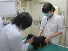 日本生物資源危機管理専門学校