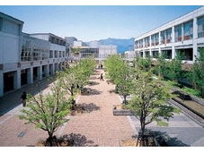 松本大学