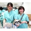 大宮国際動物専門学校