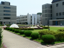 仙台大学